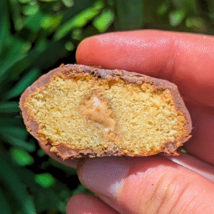 Madeleine bueno Recette Madeleines bueno
