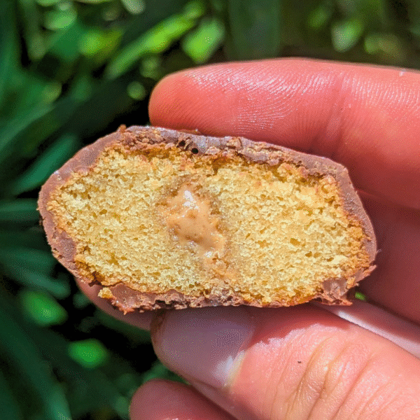 Pack Madeleines