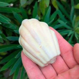 Recette Madeleines caramel