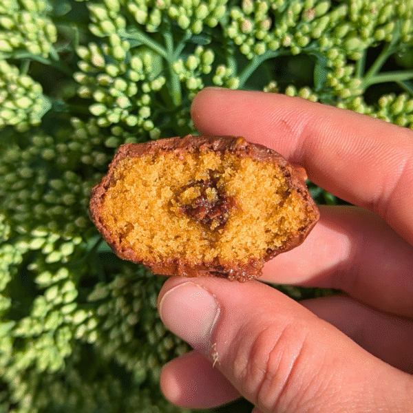 Pack Madeleines