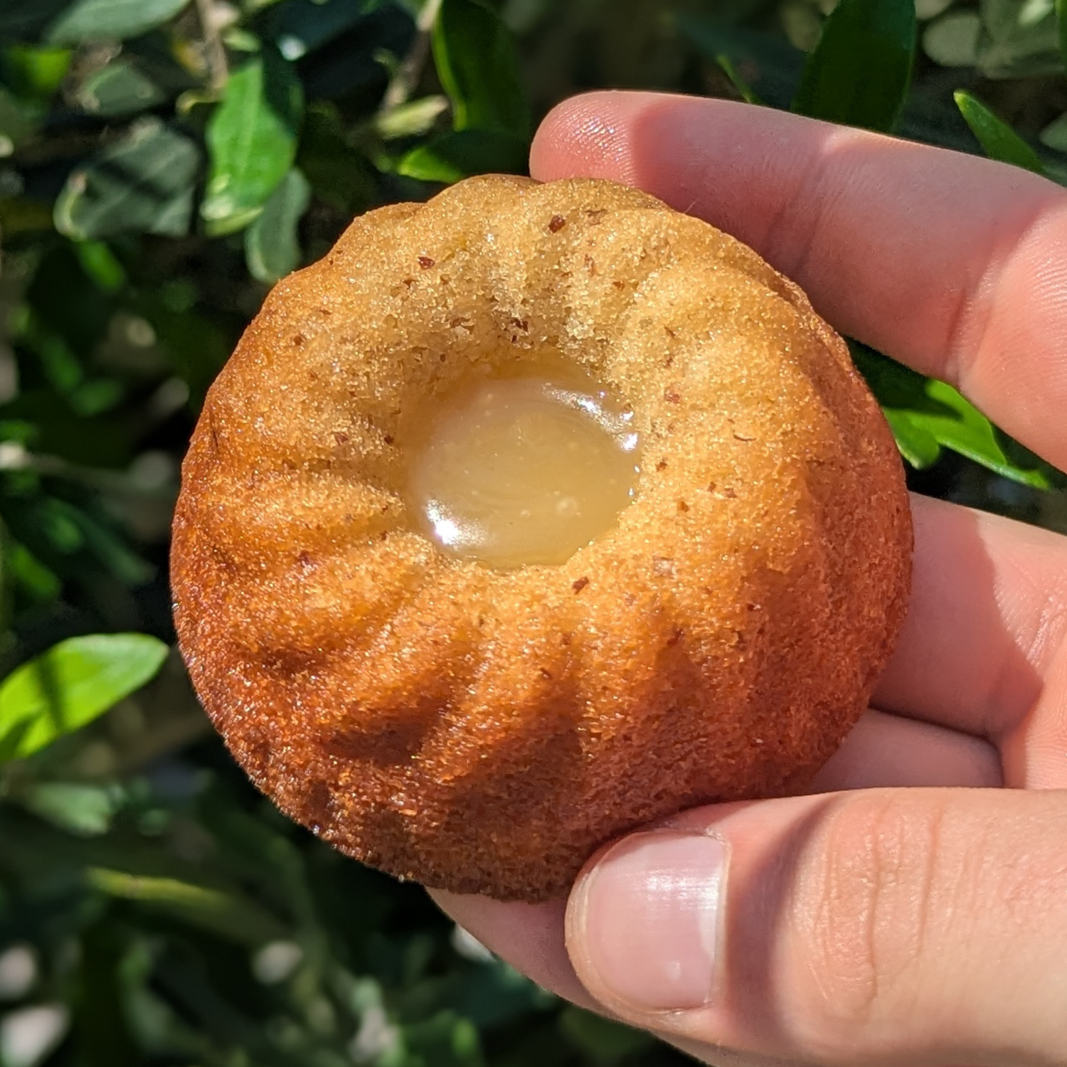Cake citron