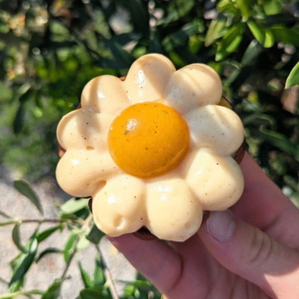 Tartelette Abricot Recette Tartelette Abricot