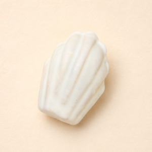 Madeleine vanille intense Madeleine vanille intense