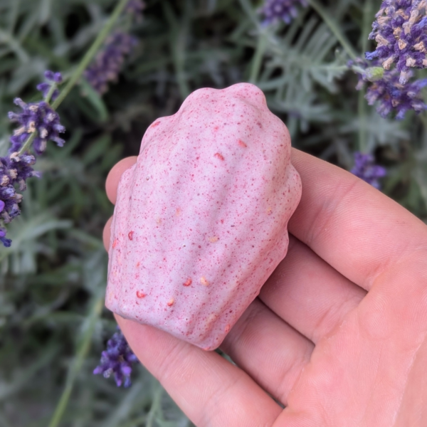 Madeleine framboise Madeleine framboise