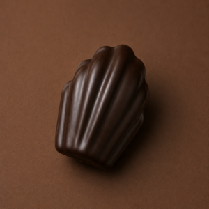 Madeleine chocolat noir Madeleine Chocolat noir